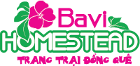 Bavi Homestead
