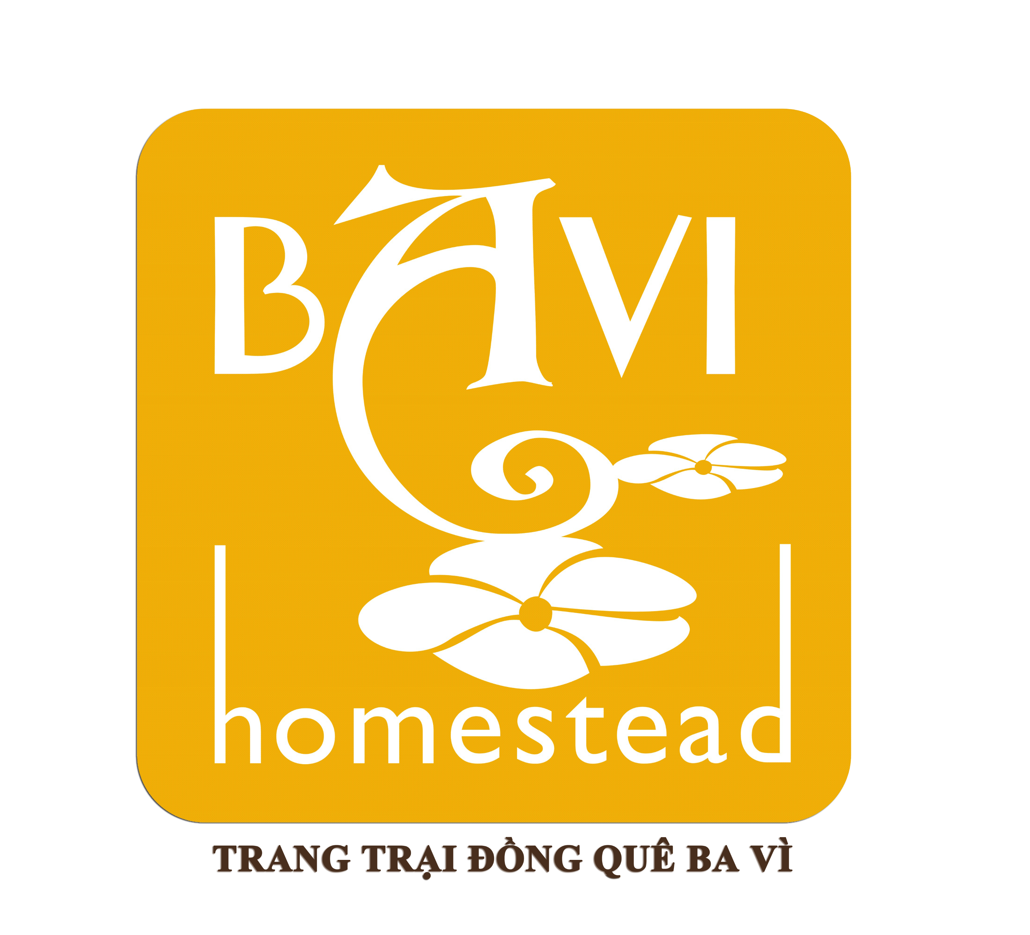 Bavi Homestead
